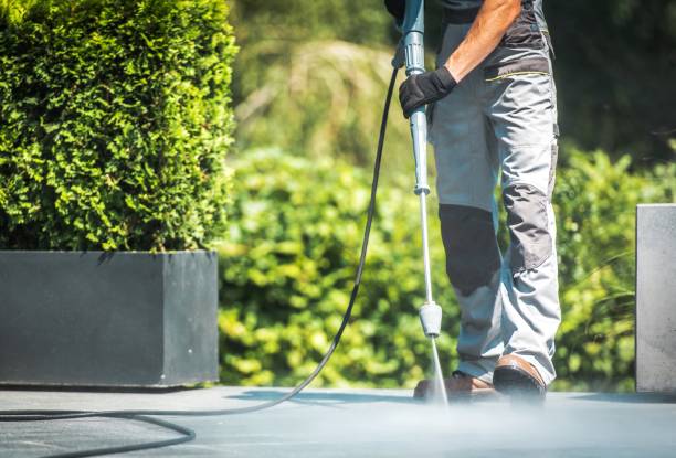  Pu, HI Pressure Washing Pros