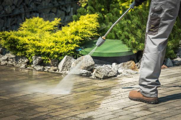 Best Pre-Holiday Cleaning  in Pu, HI